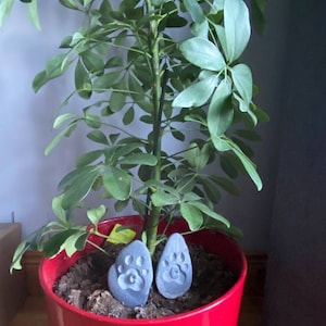 traceyleeg added a photo of their purchase