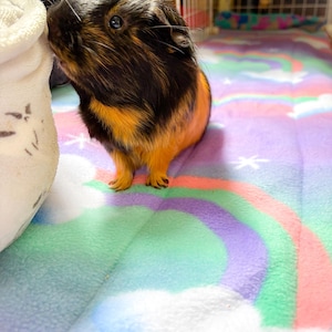 Adventures added a photo of their purchase