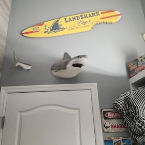 rhonda ha aggiunto una foto del proprio acquisto