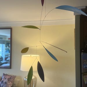 Diane added a photo of their purchase