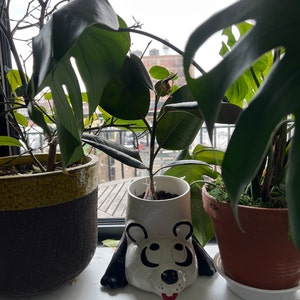 Mallory ha añadido una foto de su compra