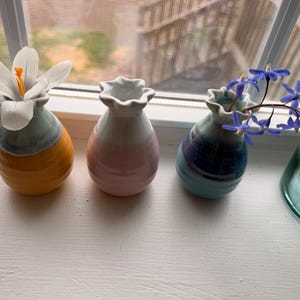 Sarah added a photo of their purchase