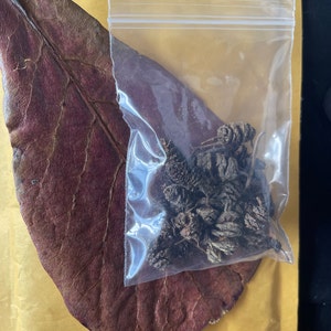 Bunny added a photo of their purchase