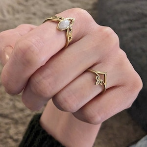 Rachelle added a photo of their purchase
