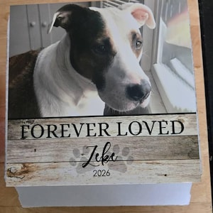 Kelly added a photo of their purchase