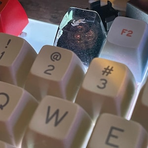 Ryan a ajouté une photo de son achat