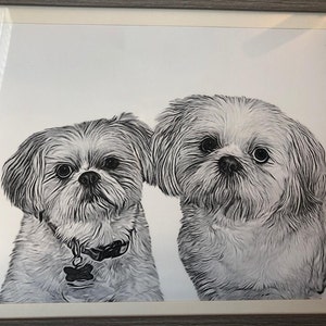 Megan added a photo of their purchase