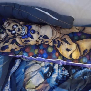 Anubis added a photo of their purchase