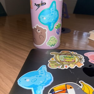 Luz a ajouté une photo de son achat