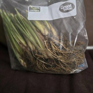 Robert added a photo of their purchase