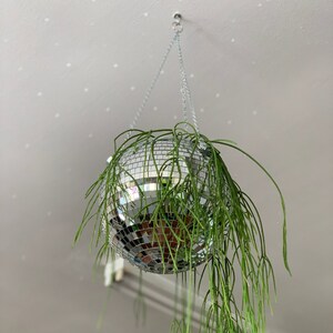 Disco Ball Plant Hangers | Etsy