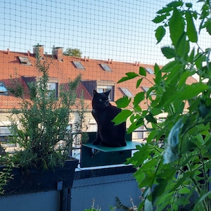 Konstanze added a photo of their purchase