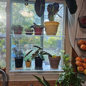 Lizzie added a photo of their purchase