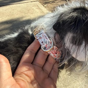 Alexandra added a photo of their purchase