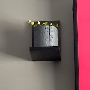 Ryan added a photo of their purchase