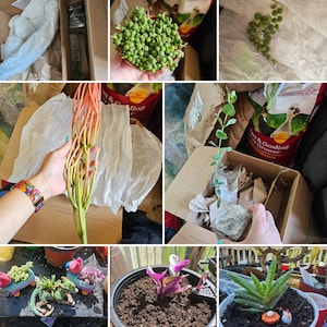 Dorre added a photo of their purchase