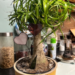 Comprador de Etsy ha añadido una foto de su compra