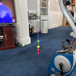 Lee added a photo of their purchase