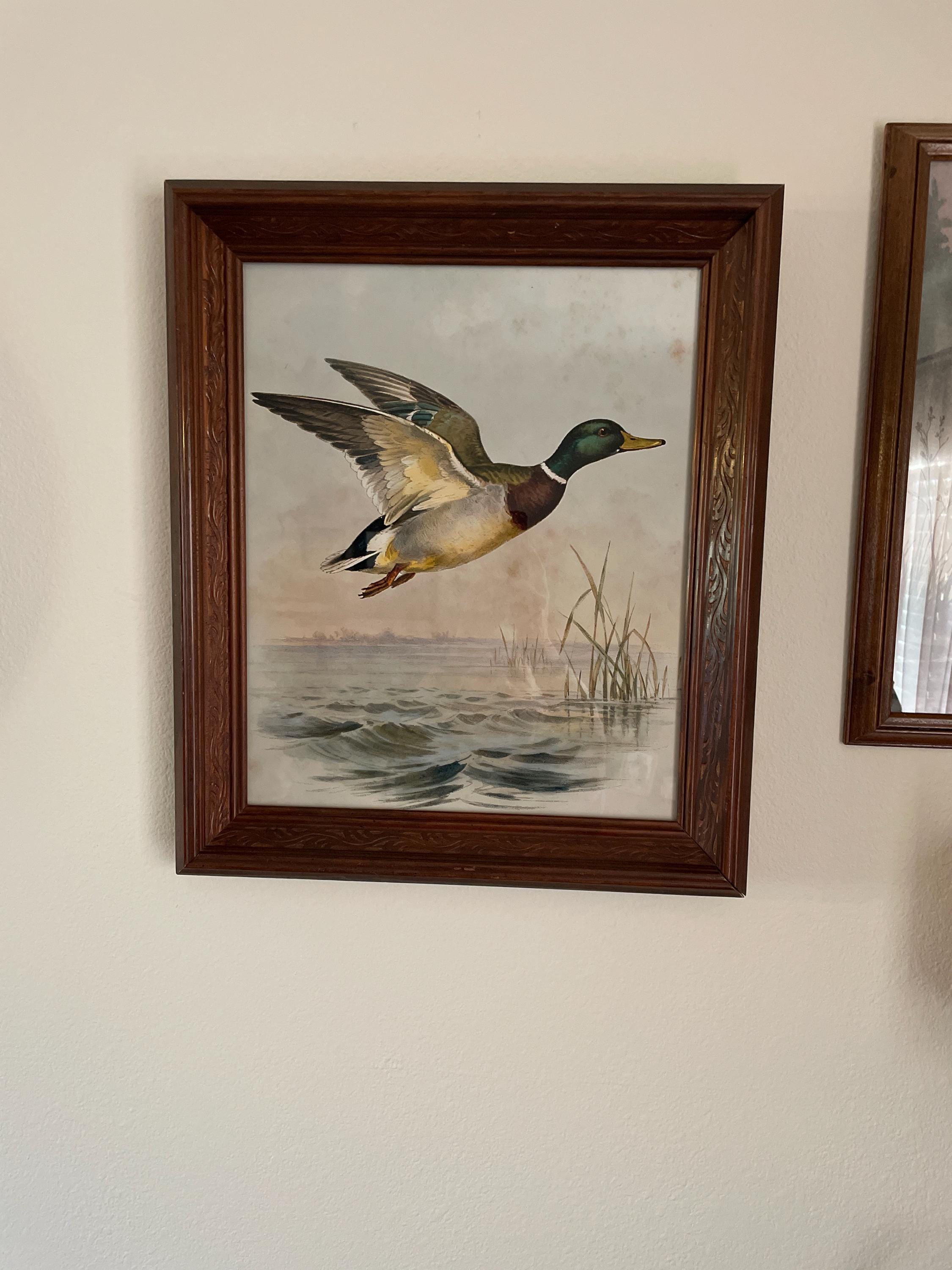 Customer photo — Mallard Duck Art - Vintage Waterfowl Wall Art | Rustic Farmhouse Duck Decor Print - Vintage Art Prints & Framed Art