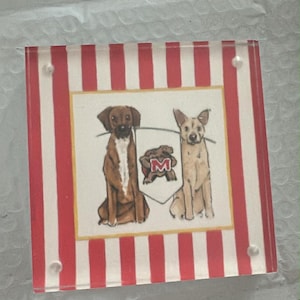 amy a ajouté une photo de son achat