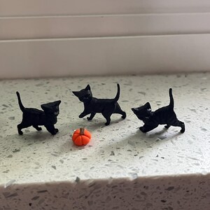 Miniature Black Cats, Halloween Miniature, Miniature Kittens