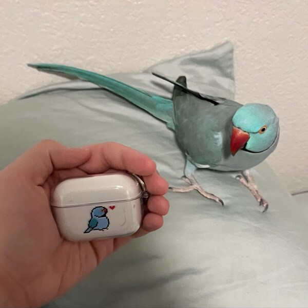 Lovebird Ripeness Chart Poster Etsy