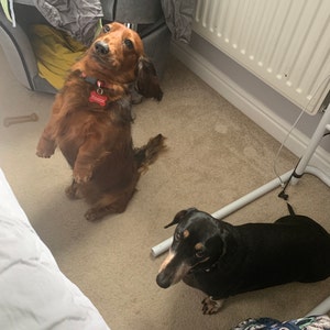 Emma's added a photo of their purchase