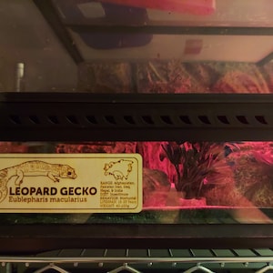Jordan ha aggiunto una foto del proprio acquisto