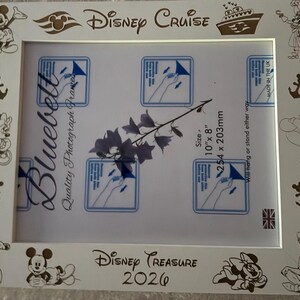 ディズニー・クルーズをテーマにした、名入れ可能な刻印入りフォト