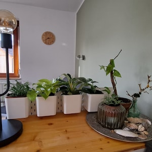 Carolin added a photo of their purchase