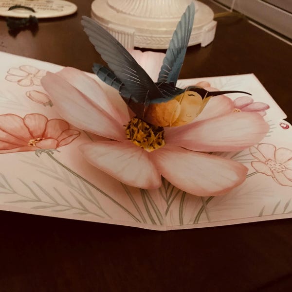 Unipop Peony Flower Pop up Card, Happy Anniversary Card, Valentines Day ...