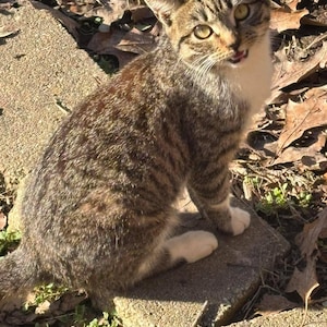 Paragon a ajouté une photo de son achat