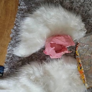 Katelyn heeft een foto van de aankoop toegevoegd