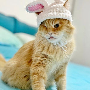 かぎ針編みパターン: 猫用イースターバニー耳帽子、耳穴付きウサギ耳