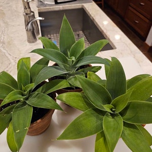 Pam added a photo of their purchase