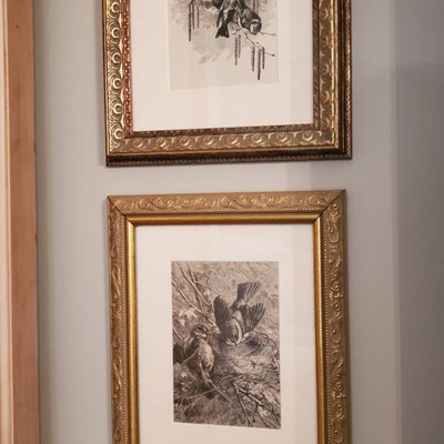 Antique Roses Print OLD Rhoda Holmes Nicholls A449 C1903 ...