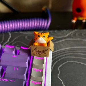 ColdSoup added a photo of their purchase