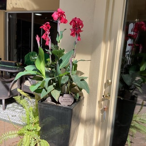 Fran added a photo of their purchase