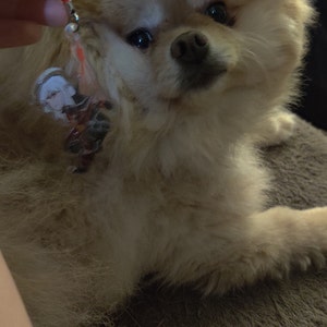 Cynthia added a photo of their purchase