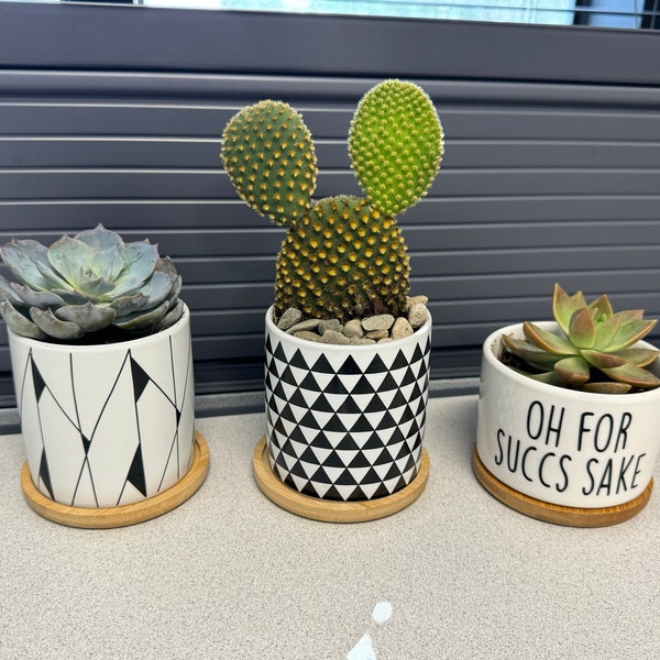 Funny Succulent Pot Cactus Pot Small Planter With Drainage Ceramic Pot ...