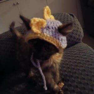 Scout added a photo of their purchase
