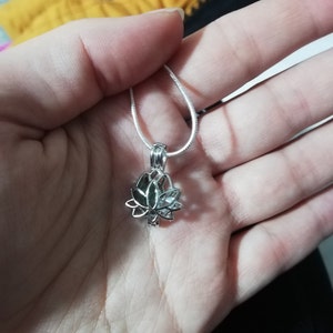 Izabela added a photo of their purchase
