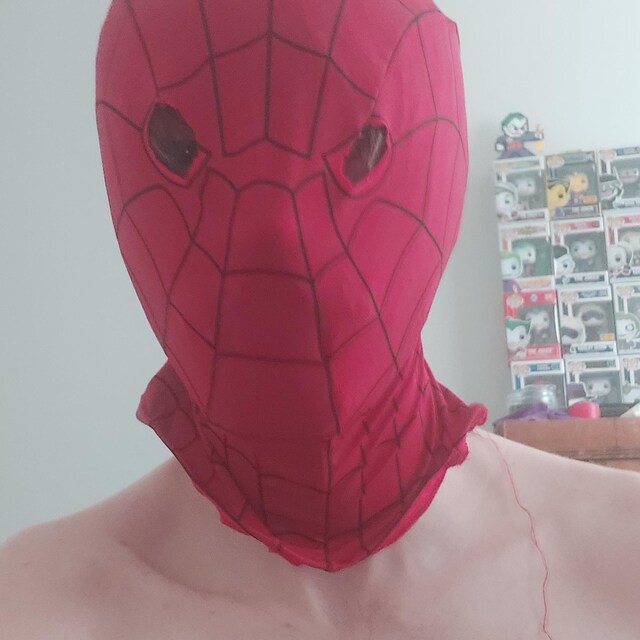 スパイダーマン PS4 マスク ゲーム ピーター パーカー ライクラ マスク