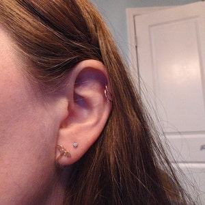 Madeline added a photo of their purchase