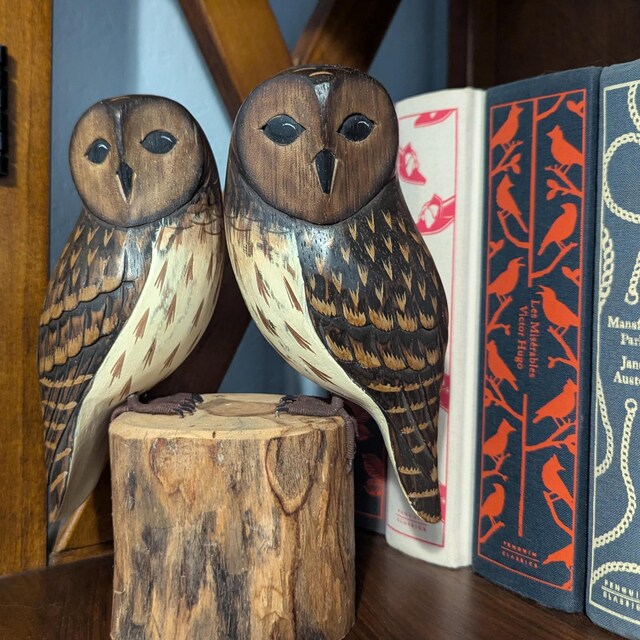 Baby Barred Owl - Pair- 7.5