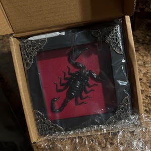 Elysum added a photo of their purchase