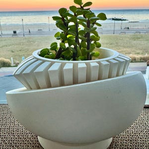 Kathleen added a photo of their purchase