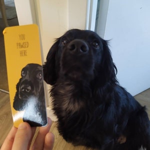 Romaine added a photo of their purchase