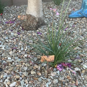 Melanie added a photo of their purchase