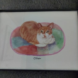 B added a photo of their purchase
